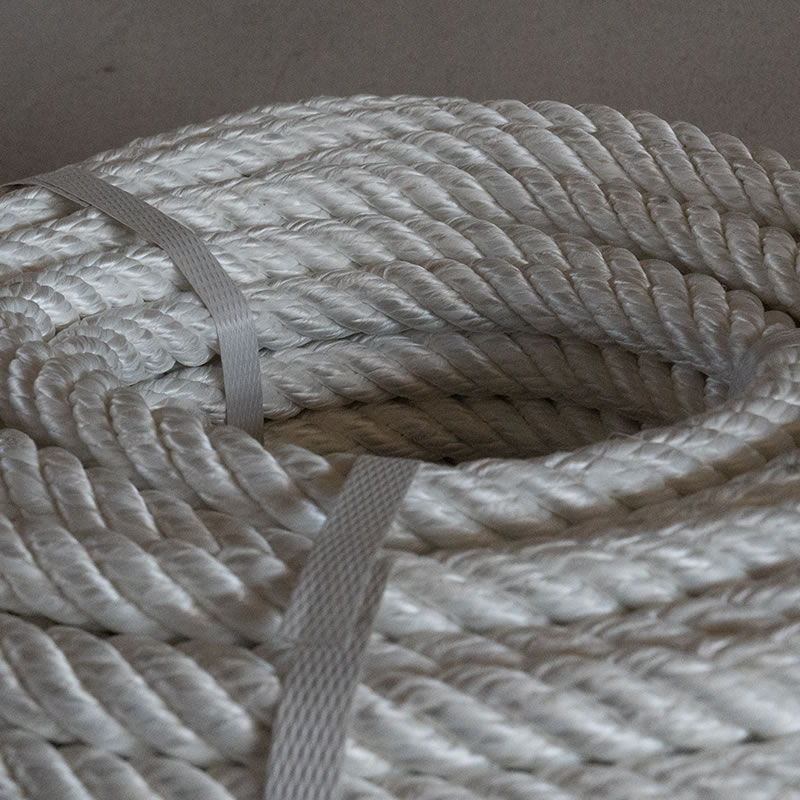 เชือกความปลอดภัยในชีวิต