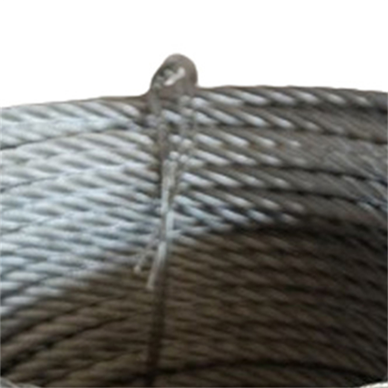 เชือกลวดที่ถูกระงับ