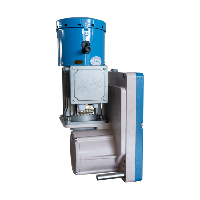 รอกนั่งร้านที่ถูกระงับ