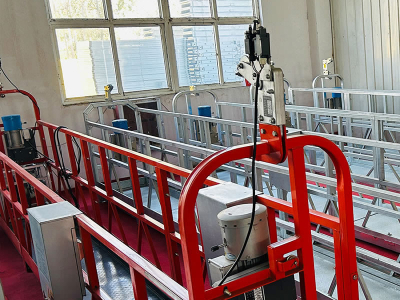 แพลตฟอร์มการทำงานที่ถูกระงับ