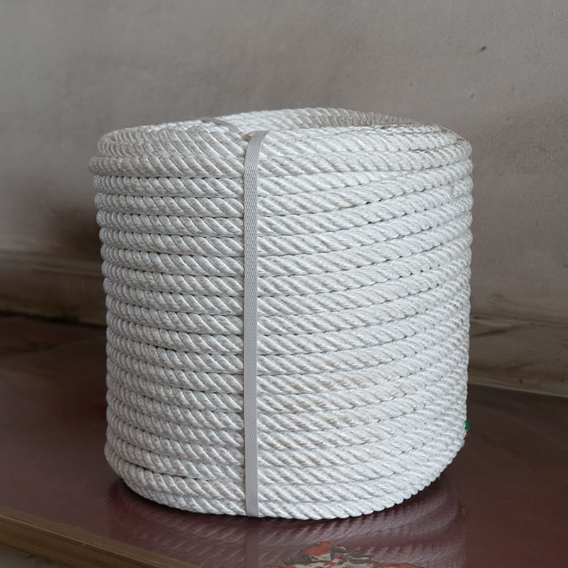 เชือกความปลอดภัยในชีวิต