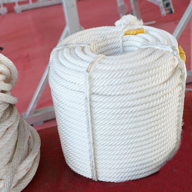 เชือกช่วยชีวิตแนวตั้ง เชือกช่วยชีวิตแนวตั้ง